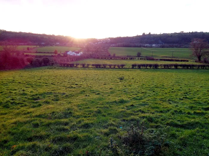Gleno Veterinary Centre Ltd Picture 2