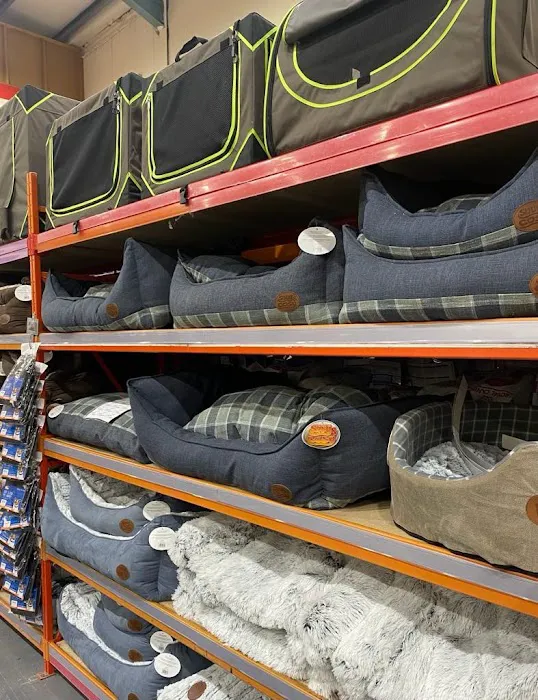 Jollyes - The Pet People Bangor Picture 2