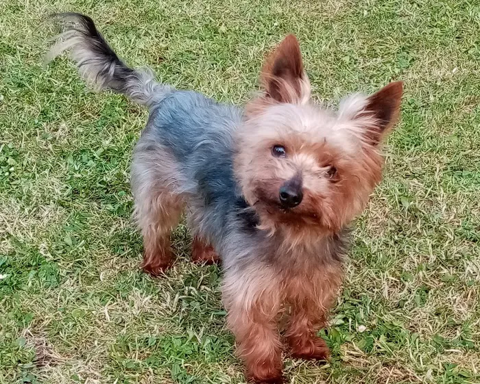 Jollyes - The Pet People Bangor Picture 5