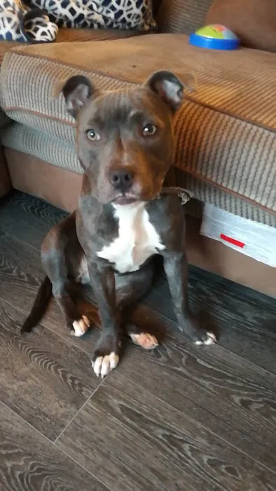 Jollyes - The Pet People Bangor Picture 9