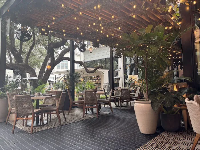 Pets at Home Bangor NI Picture 7