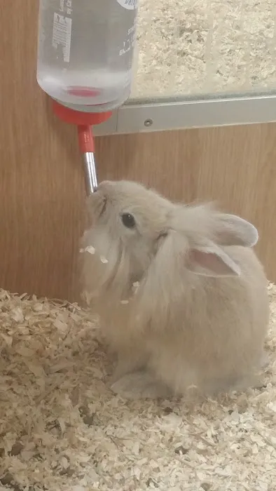 Pets at Home Bangor NI Picture 6