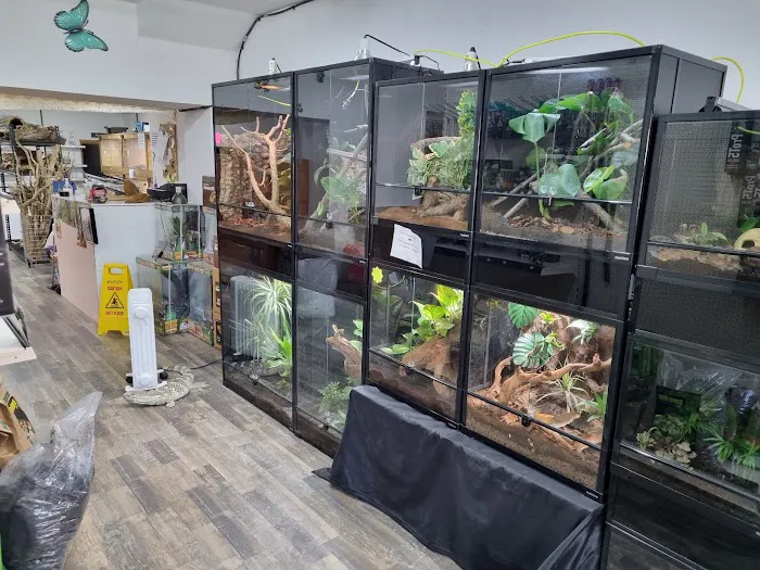 Newtownards Reptiles and pets supplies Picture 2