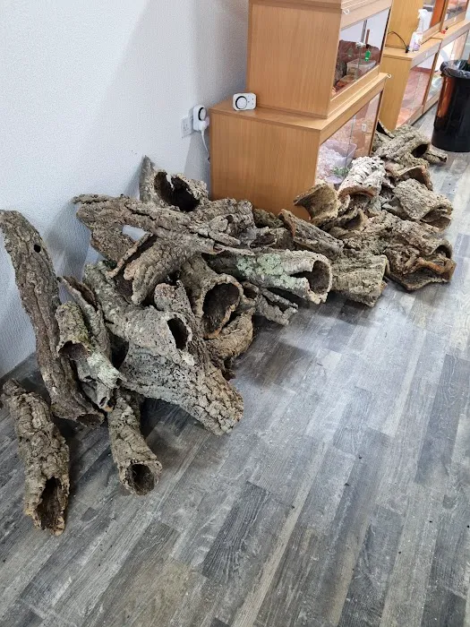 Newtownards Reptiles and pets supplies Picture 3