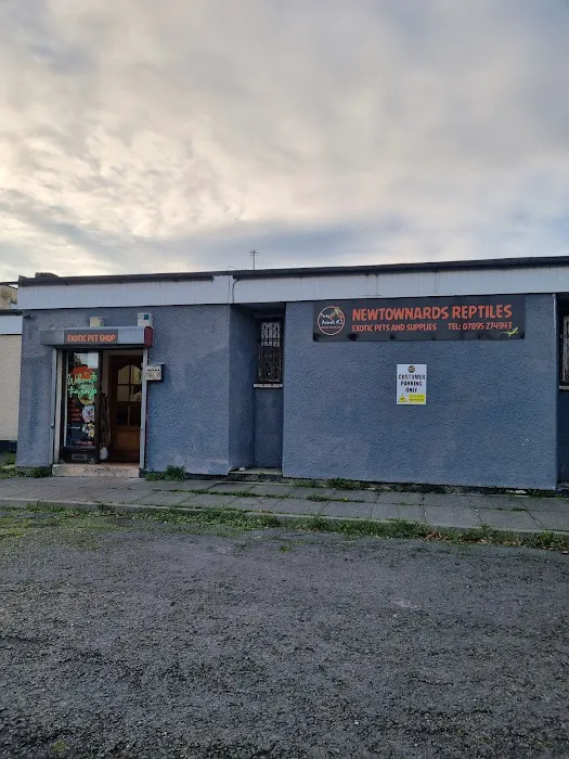 Newtownards Reptiles and pets supplies Picture 1