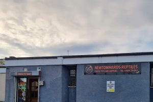 Auto Service Center