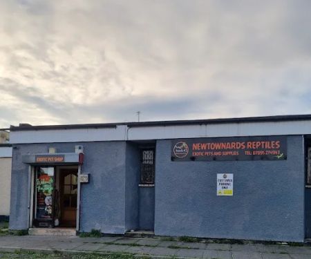Newtownards Reptiles and pets supplies