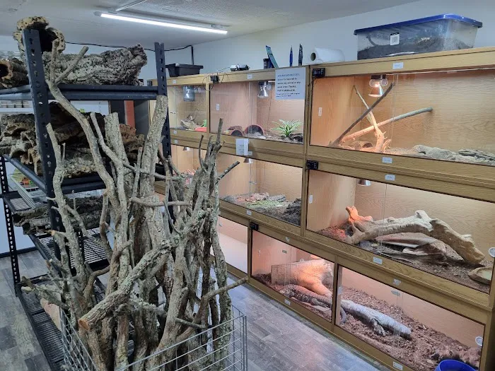 Newtownards Reptiles and pets supplies Picture 4