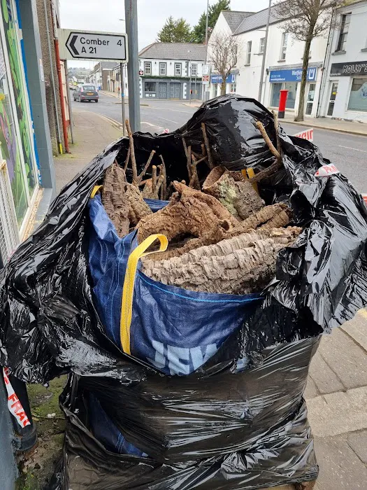 Newtownards Reptiles and pets supplies Picture 5