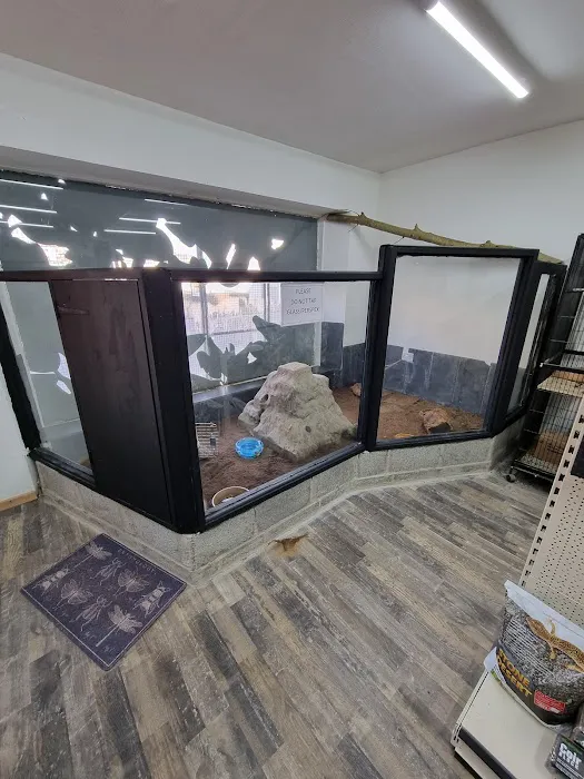 Newtownards Reptiles and pets supplies Picture 8