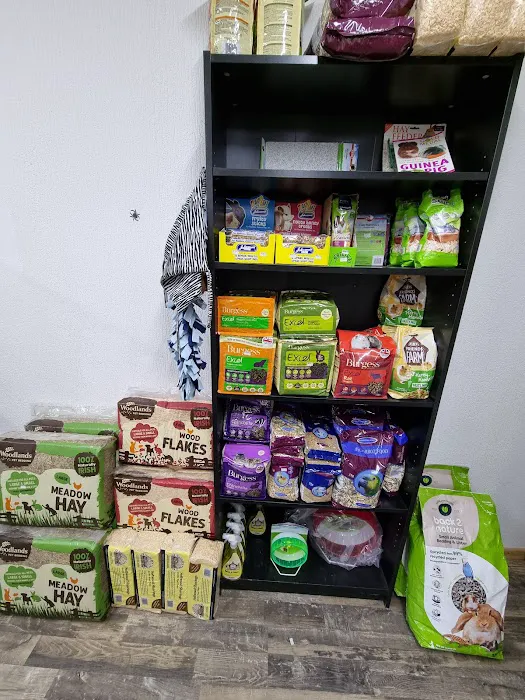 Newtownards Reptiles and pets supplies Picture 9