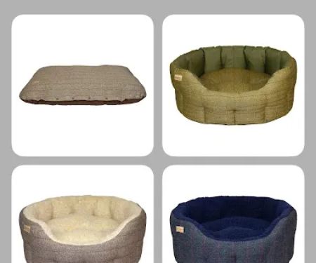 Smart Petz Ireland Ltd