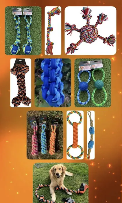 Smart Petz Ireland Ltd Picture 5