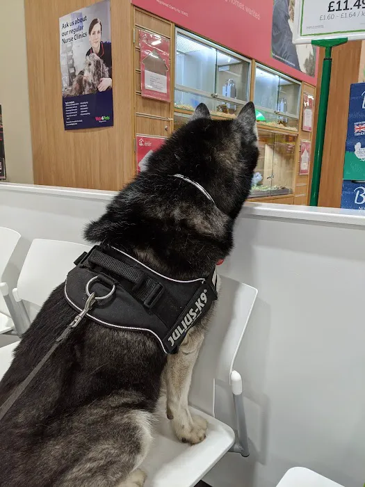 Pets at Home Rawtenstall Picture 2