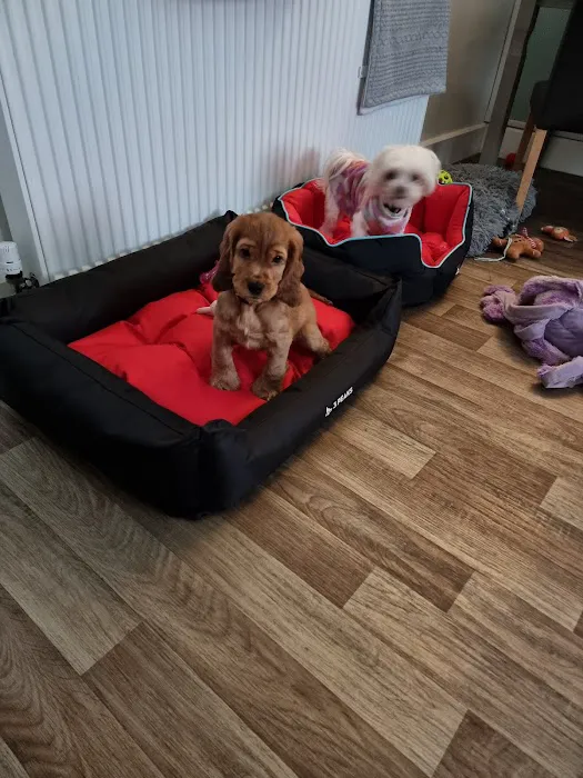 Pets at Home Rawtenstall Picture 9