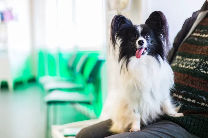 Pasture Pet & Pond Supplies Picture 4