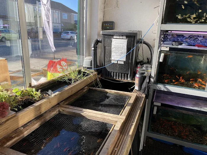 Pasture Pet & Pond Supplies Picture 7