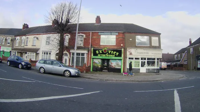 Exotics of the world LTD Picture 2