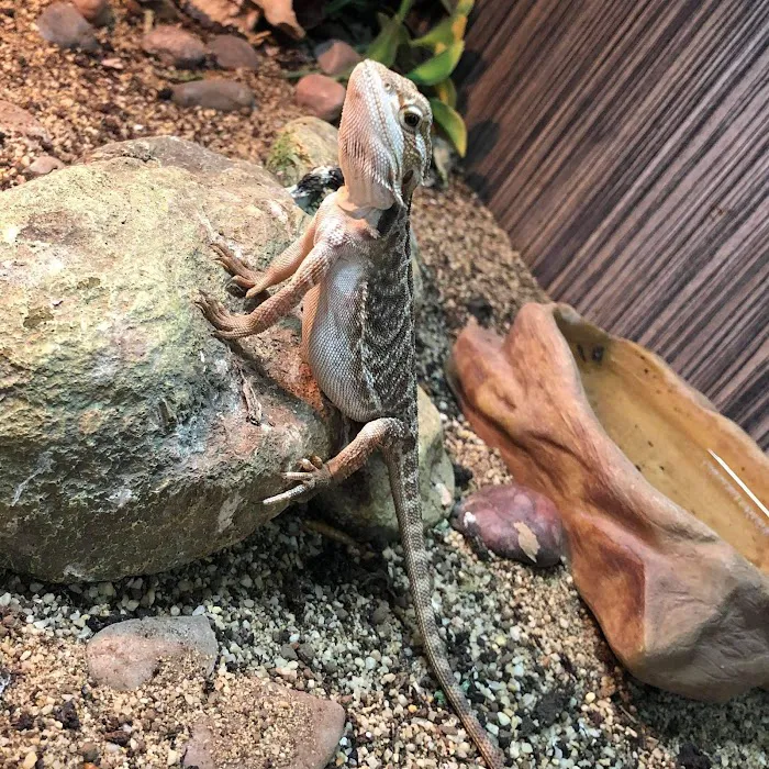 Exotics of the world LTD Picture 7