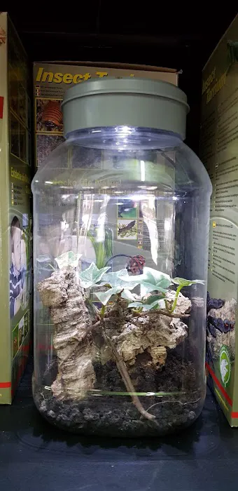 Exotics of the world LTD Picture 9