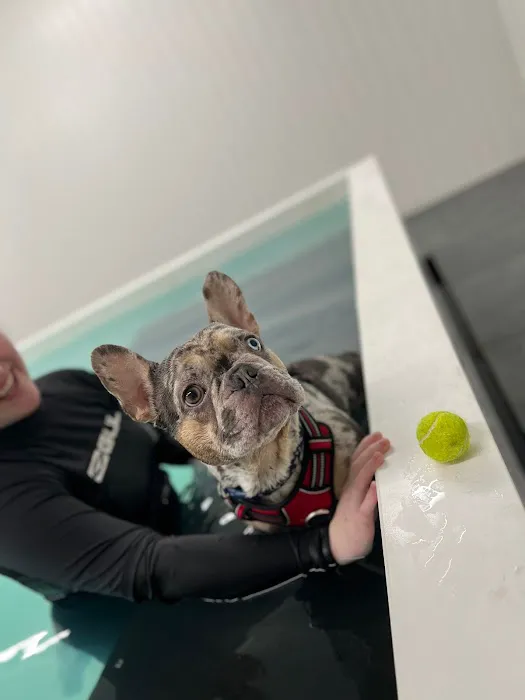 Leeds Canine Hydrotherapy Limited Picture 2