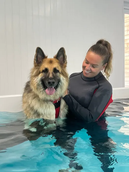 Leeds Canine Hydrotherapy Limited Picture 1