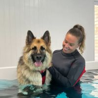 Leeds Canine Hydrotherapy Limited ico