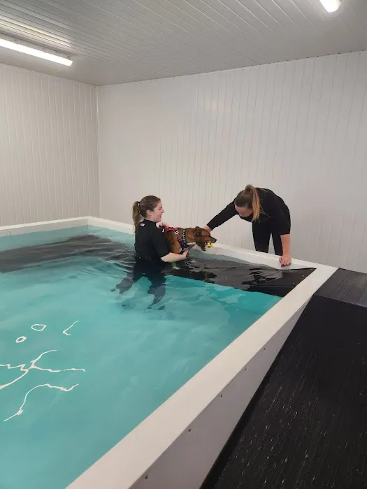 Leeds Canine Hydrotherapy Limited Picture 6