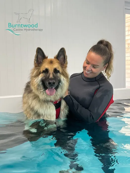 Leeds Canine Hydrotherapy Limited Picture 8