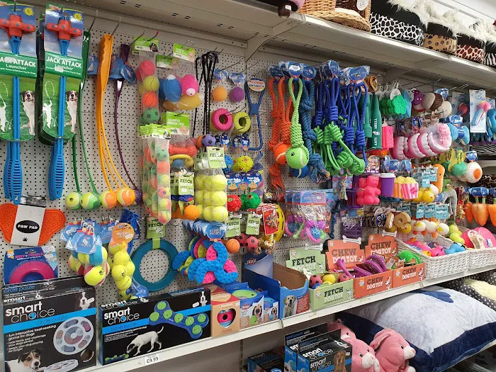 Paw Prints Picture 4