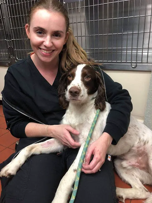 Beechwood Veterinary Group, Beeston Picture 10