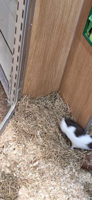 Pets at Home Leeds Crown Point Picture 4