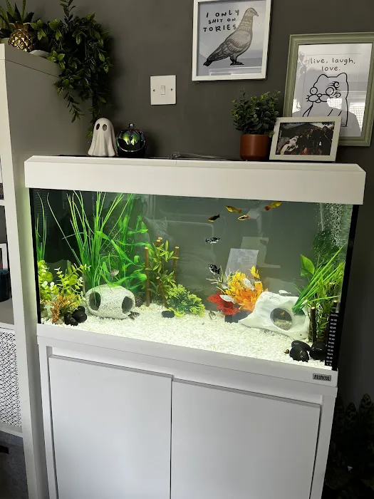 Pets at Home Leeds Crown Point Picture 9