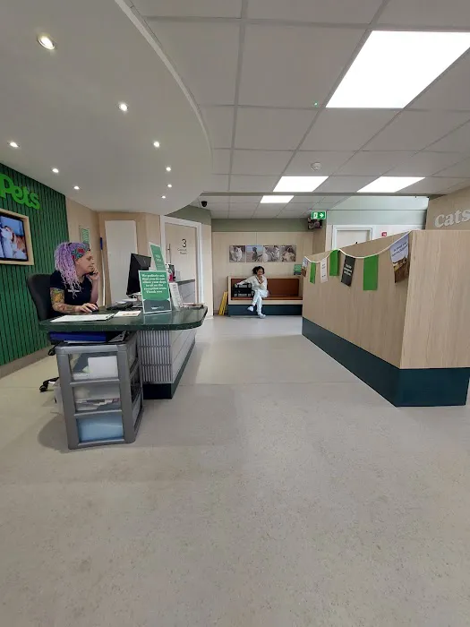 Vets for Pets - Bramley Picture 5