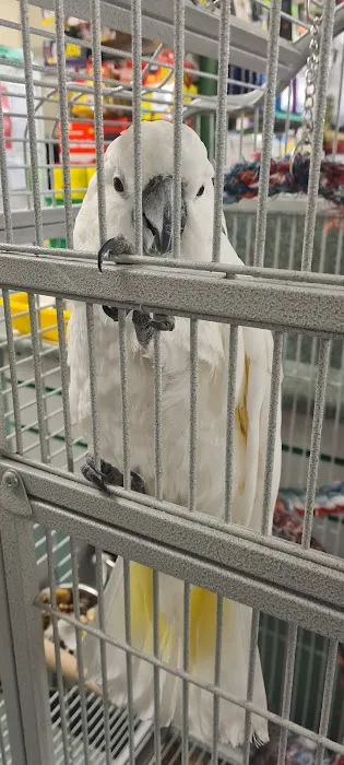 Paws for Thought Pet Centre Picture 1