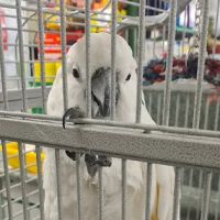 Paws for Thought Pet Centre ico