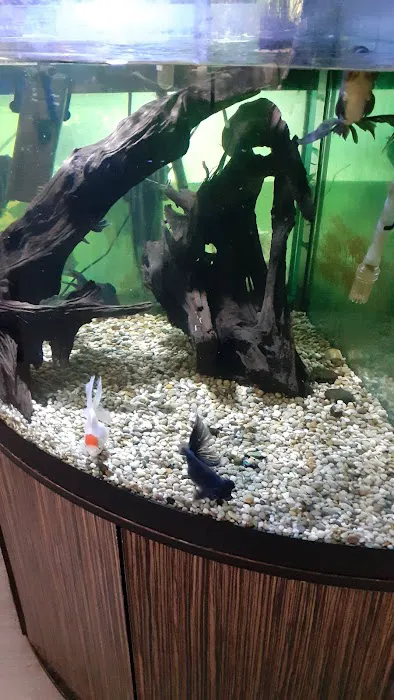 Paws for Thought Pet Centre Picture 3