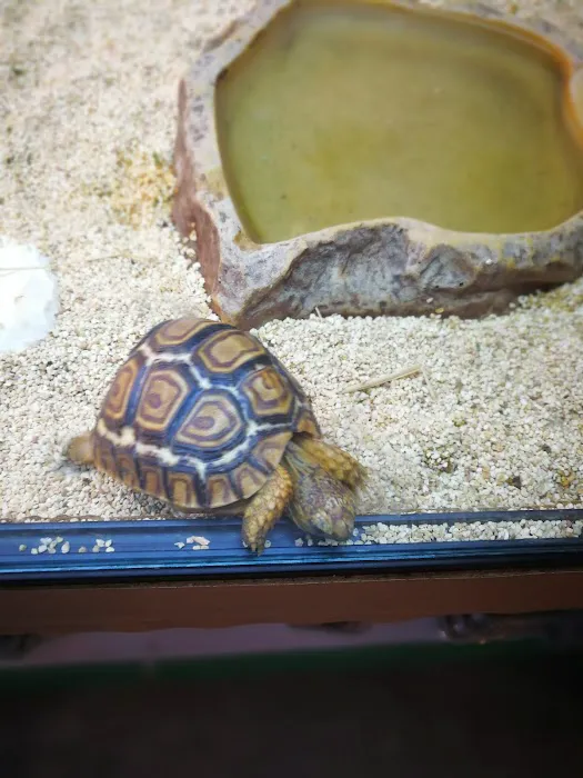 Paws for Thought Pet Centre Picture 4