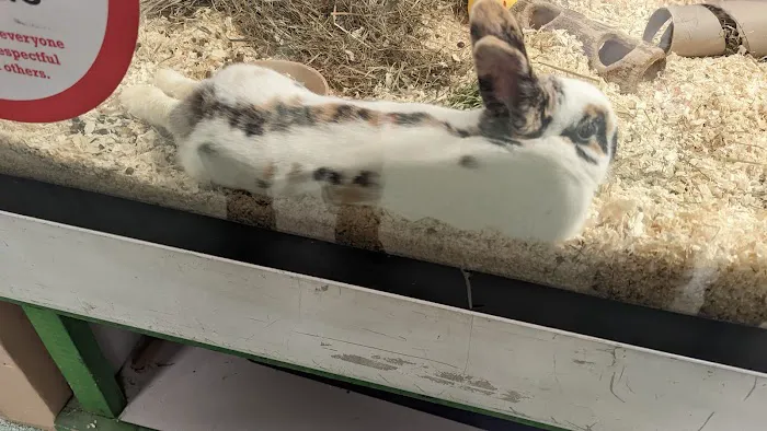 Paws for Thought Pet Centre Picture 5