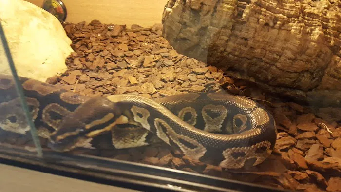 Paws for Thought Pet Centre Picture 9