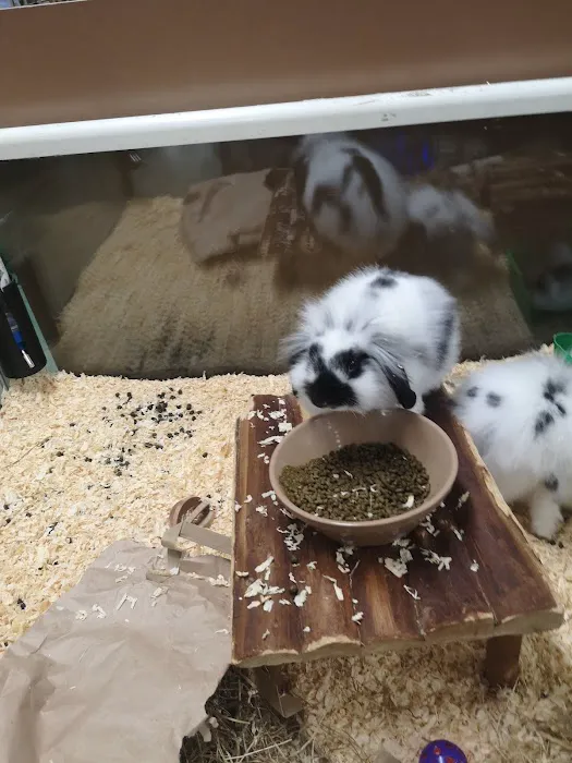 Paws for Thought Pet Centre Picture 7