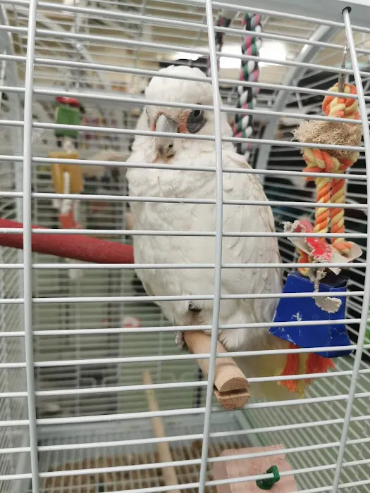 Paws for Thought Pet Centre Picture 10