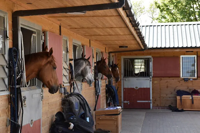 Louisa Purkiss Veterinary Physiotherapy Picture 1