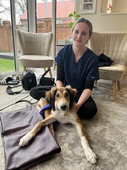 Louisa Purkiss Veterinary Physiotherapy Picture 3