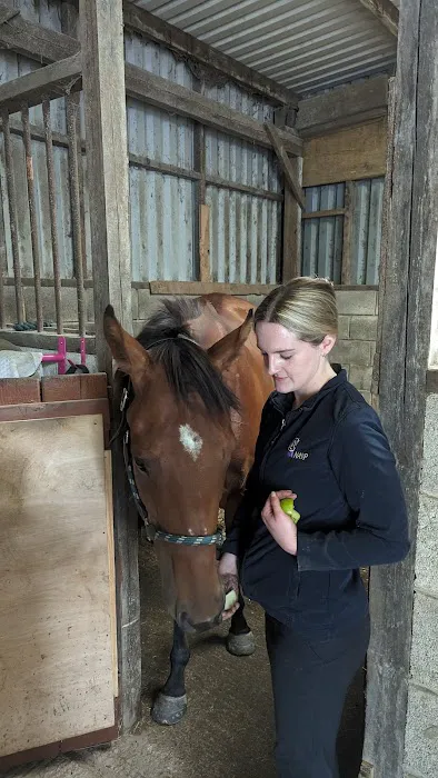 Louisa Purkiss Veterinary Physiotherapy Picture 5