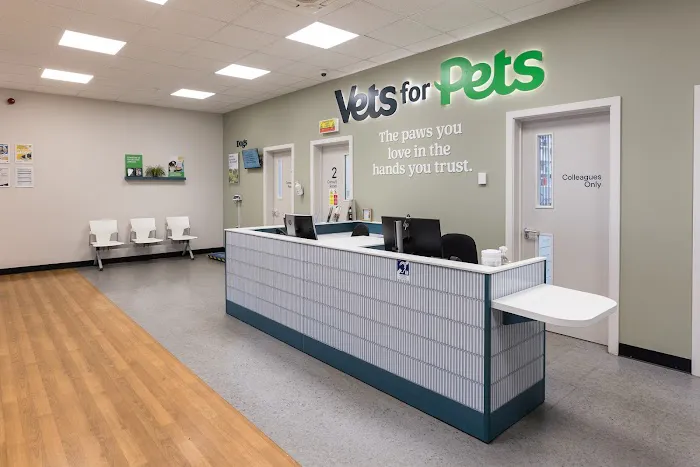 Vets for Pets - Leeds Kirkstall Picture 5