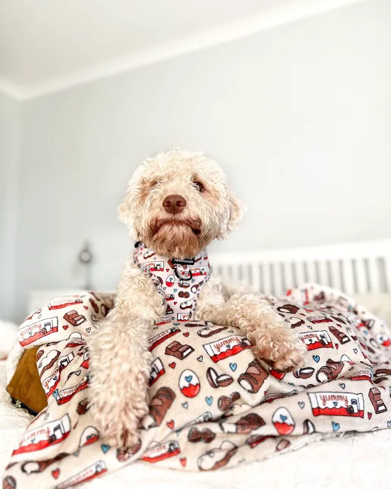 Pawsome Paws Boutique Ltd Picture 4