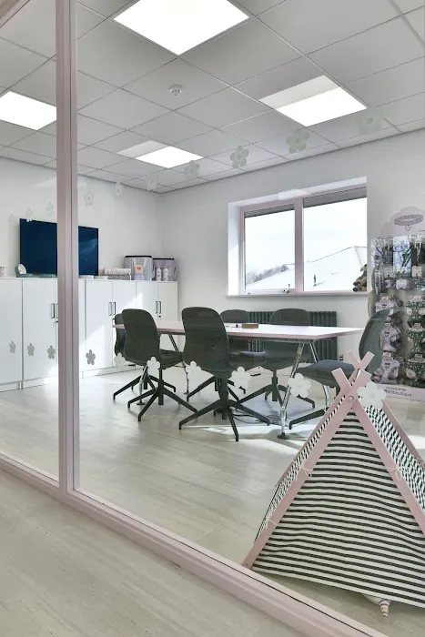 Pawsome Paws Boutique Ltd Picture 5