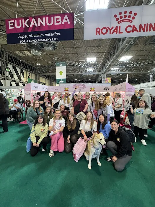 Pawsome Paws Boutique Ltd Picture 9