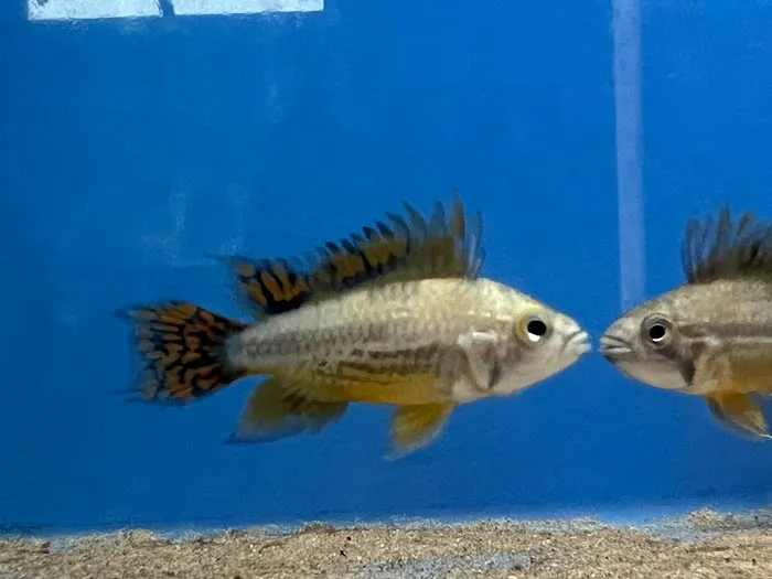 AquaHeaven Picture 1